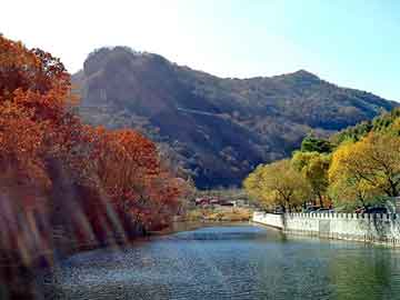 澳门天天彩期期精准平肖，福建城